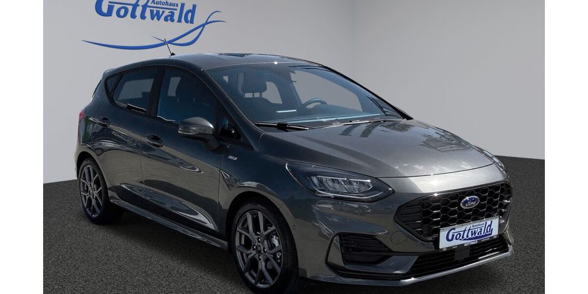 Ford Fiesta 15.950 km 19.990 &euro; Luckenwalde 14943