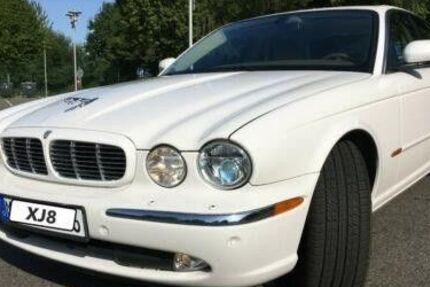 Jaguar XJ8 130.660 km 10.990 &euro; Stolpen 01833