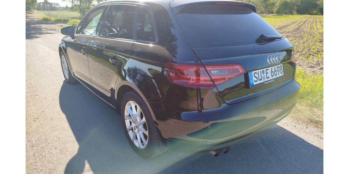 Audi A3 230.000 km 8.900 &euro; Gifhorn 38518