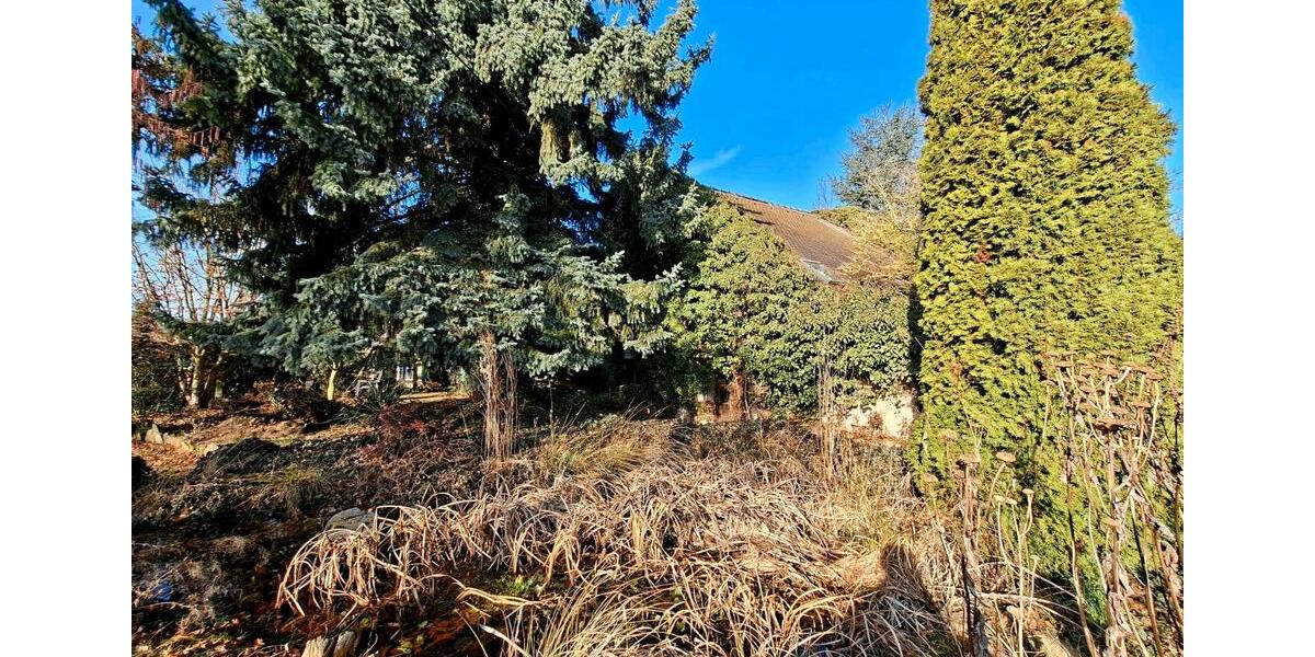 Einfamilienhaus Nobitz - 6 Zimmer, 150 m&sup2;, 40.000&euro; | Angebot:26104942