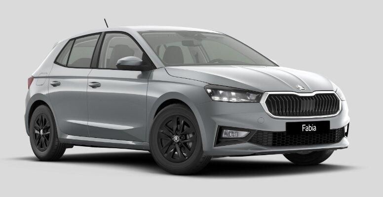 Skoda Fabia 22.659 km 17.250 &euro; Haslach im Kinzigtal 77716