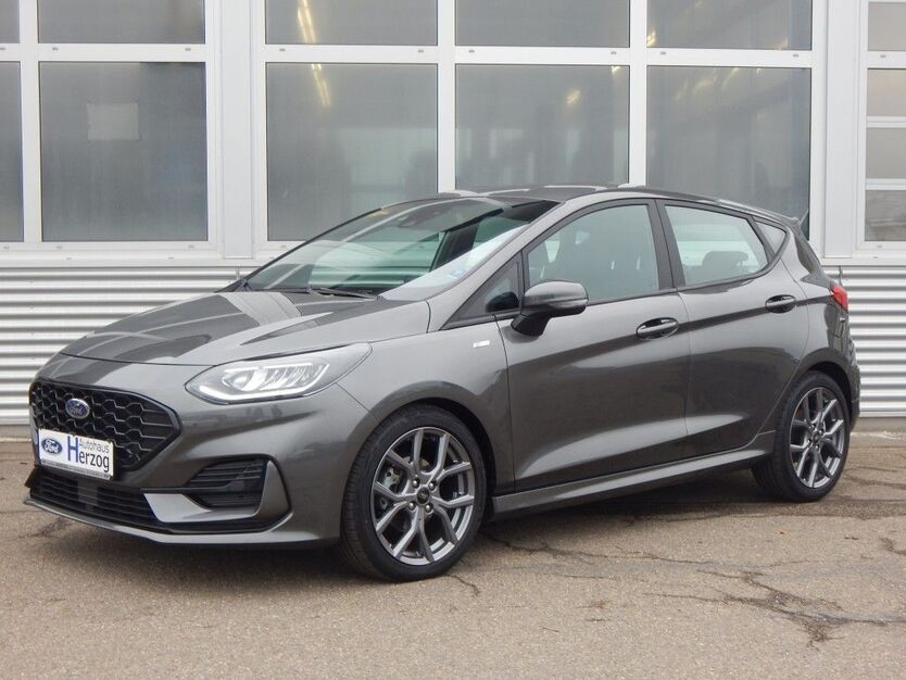 Ford Fiesta 20.800 km 20.490 € Schramberg 78713
