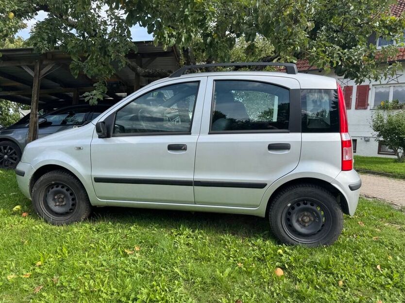Panda