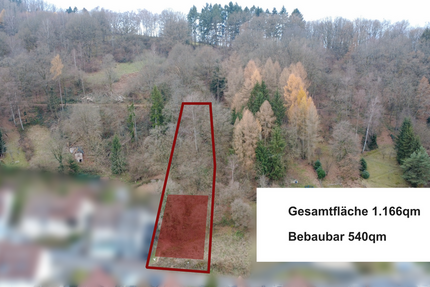 Grundstück zu verkaufen in Bad Orb 190.000 € 1166 m² zimmer