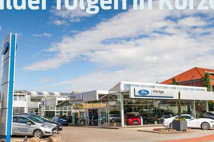 Ford Fiesta 31.730 km 18.290 € Heinsberg 52525