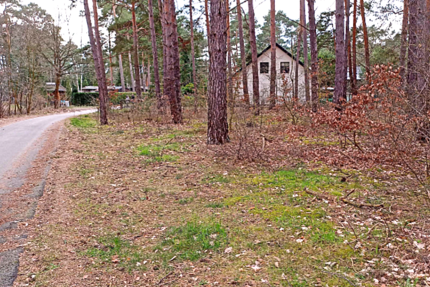 Grundstück zu verkaufen in Wendisch Rietz 195.000 € 1365 m²