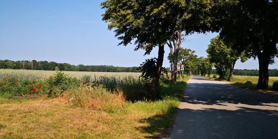 Etagenwohnung Pritzwalk - 3 Zimmer, 68 m&sup2;, 360&euro; | Angebot:26269385