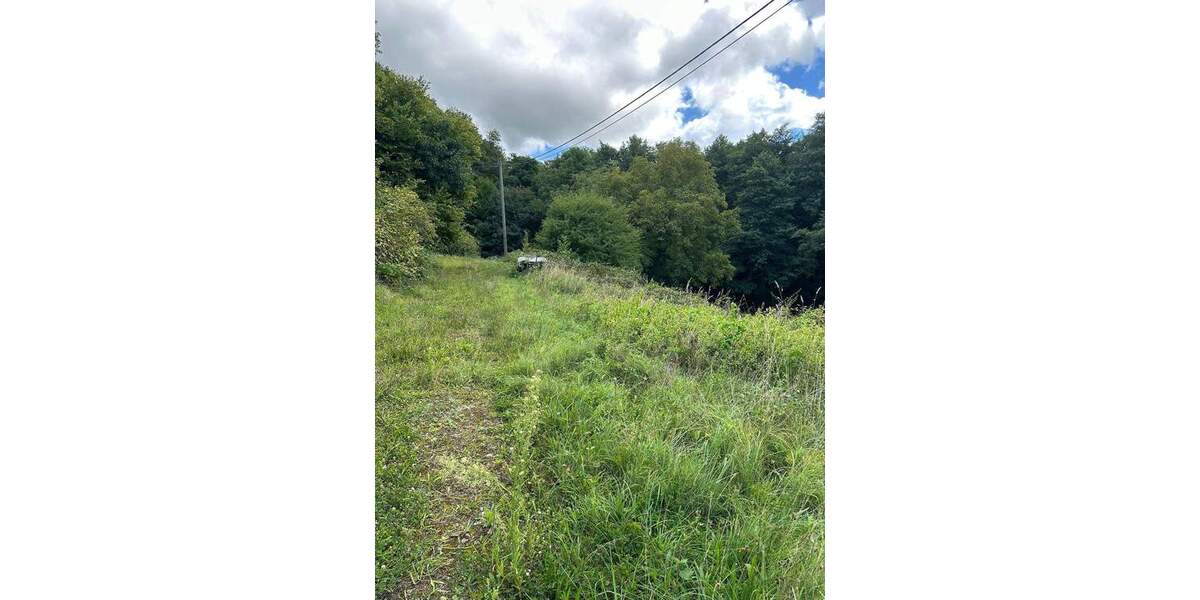 Traumgrundstück mit kleinem Wohn- und Wochenendhaus zimmer