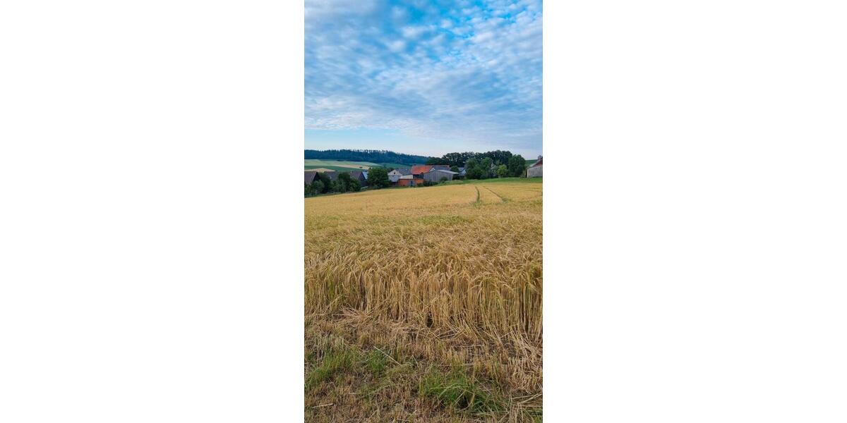 Bauernhaus, Landhaus Neustadt bei Coburg - 750.000&euro; | Angebot:26942020