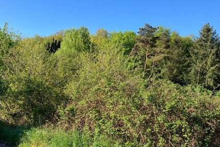 Grundstück Homburg - 155.000&euro; | Angebot:25200383