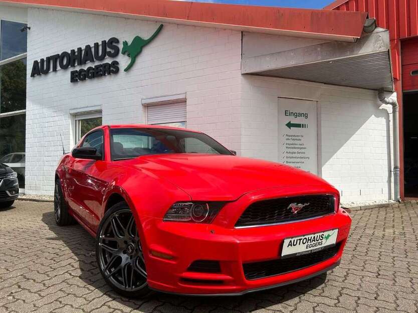 Mustang