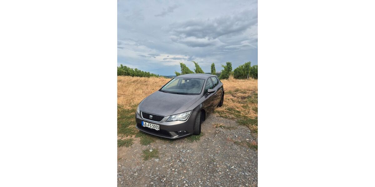 Seat Leon 240.000 km 3.490 &euro; Besigheim 74354