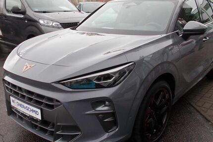Cupra Terramar 22.500 km 49.590 &euro; Waldheim 04736