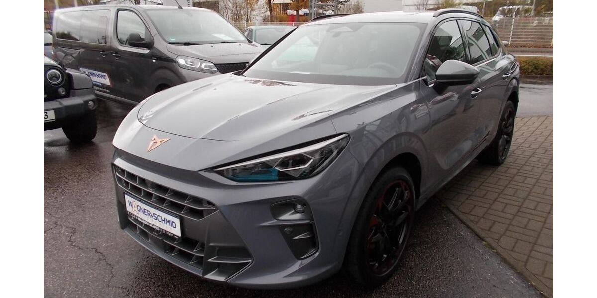 Cupra Terramar 22.500 km 49.590 &euro; Waldheim 04736