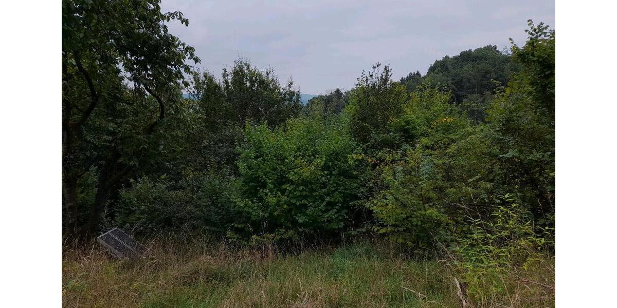 FerienhausWochenendhaus mit ca. 3.000 m² auf dem Warteberg zimmer