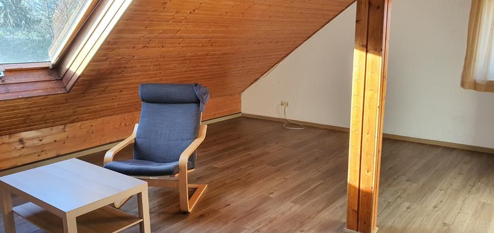 Dachgeschoßwohnung Gießen Schlangenzahl - 1 Zimmer, 55 m&sup2;, 510&euro; | Angebot:25379371