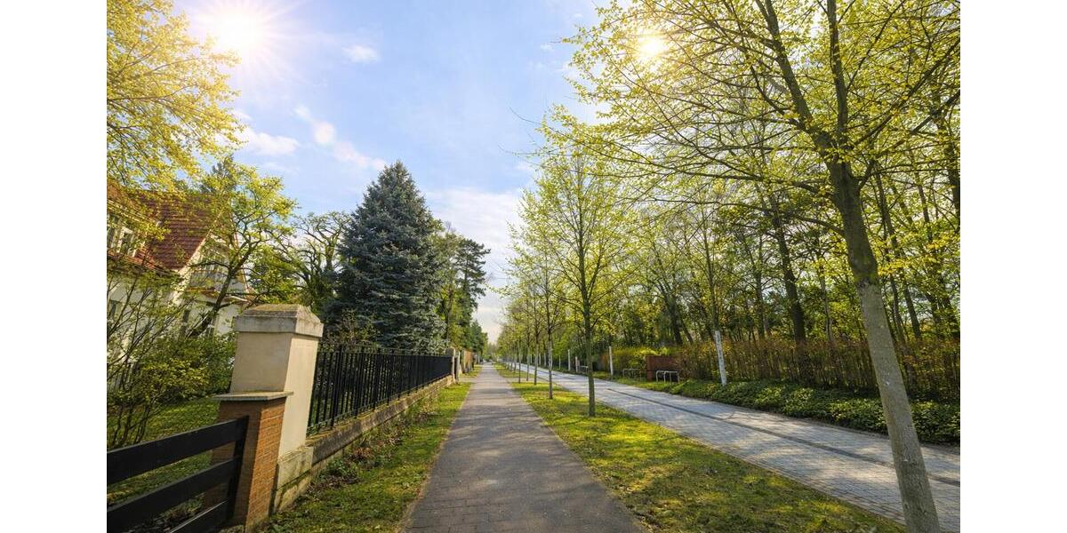 Erdgeschoßwohnung Bad Schmiedeberg - 2.5 Zimmer, 89 m&sup2;, 695&euro; | Angebot:26405028