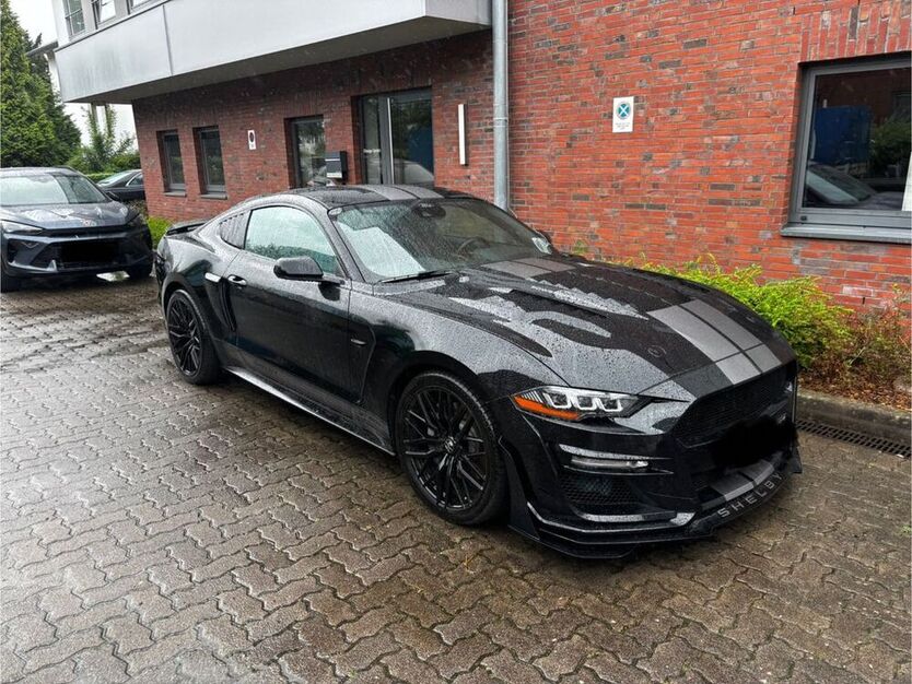 Mustang