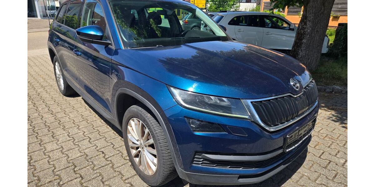 Skoda Kodiaq 190.000 km 16.600 &euro; Rheinau 77866