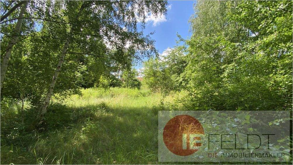 Bauernhaus, Landhaus Goldberg - 6 Zimmer, 150 m&sup2;, 119.000&euro; | Angebot:25821875