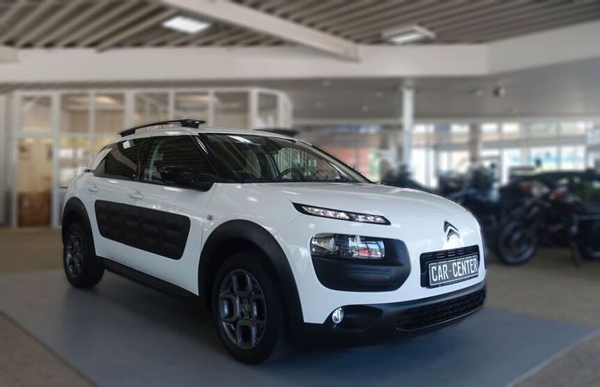 C4 Cactus