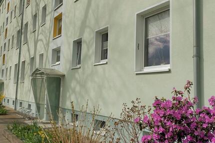 Lebens- und liebeswerte altersgerechte Wohnung mit gemütlicher Wohnküche. zimmer