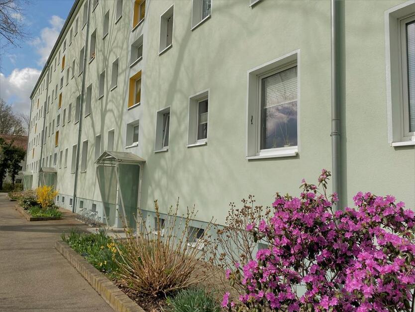 Lebens- und liebeswerte altersgerechte Wohnung mit gemütlicher Wohnküche. zimmer