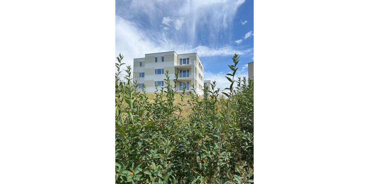 Etagenwohnung Halle (Saale) Heide Süd - 3 Zimmer, 98 m&sup2;, 1.331&euro; | Angebot:26388898