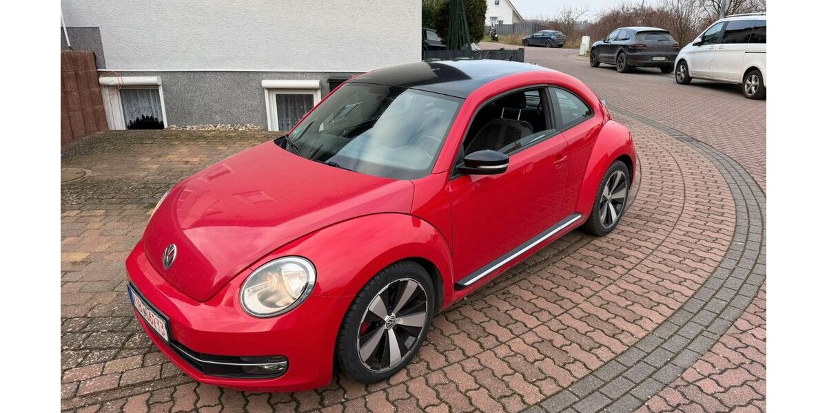VW Beetle 150.000 km 6.700 &euro; Bad Dürkheim 67098