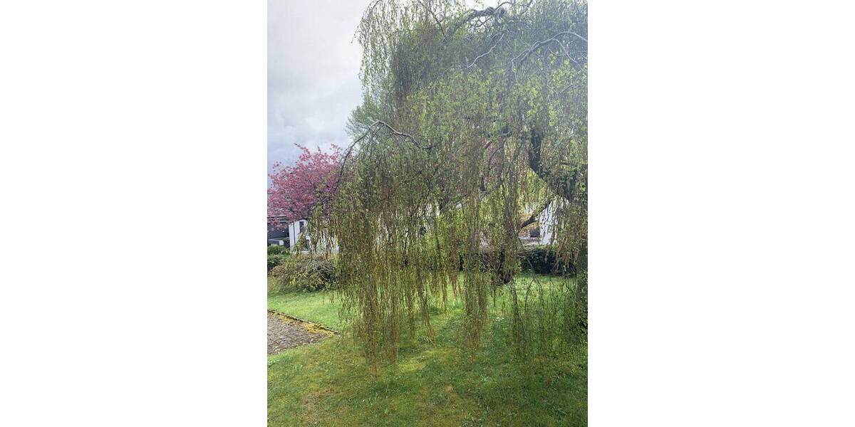 Mehrfamilienhaus, Wohnhaus Brilon - 7 Zimmer, 166 m&sup2;, 349.000&euro; | Angebot:26306504