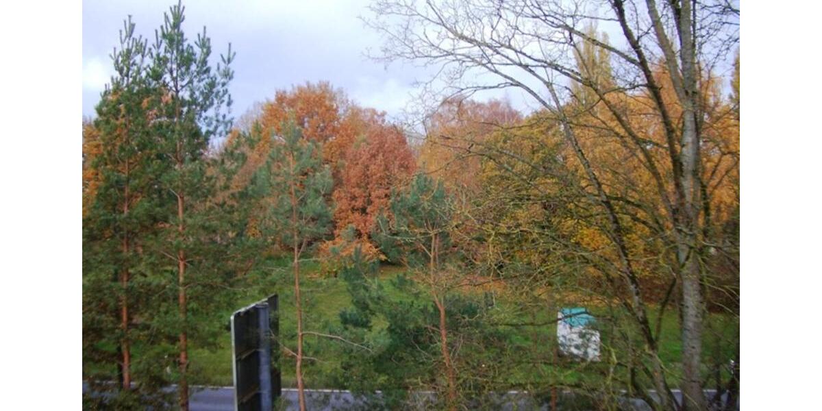 Dachgeschoßwohnung Lübz - 3 Zimmer, 83 m&sup2;, 549&euro; | Angebot:23543814