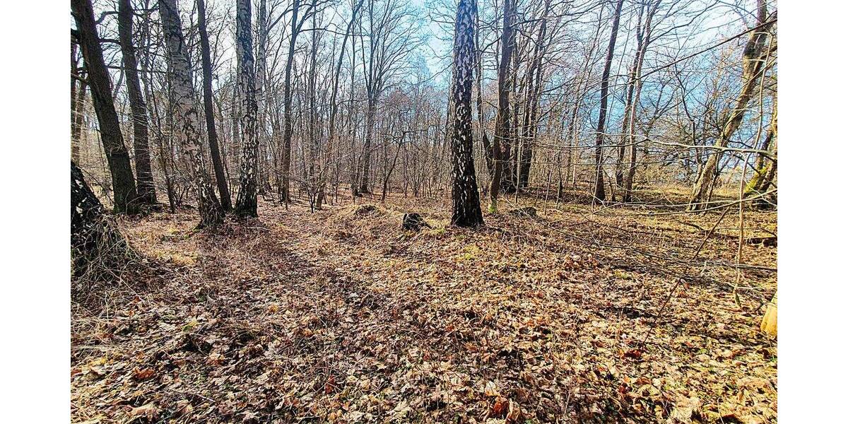 Grundstück Güstrow - 15.000&euro; | Angebot:25939510