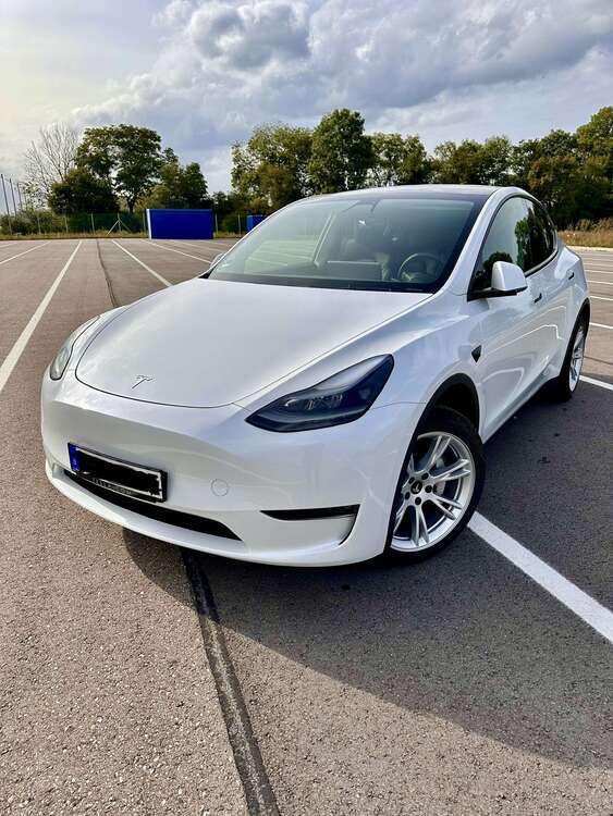 Model Y