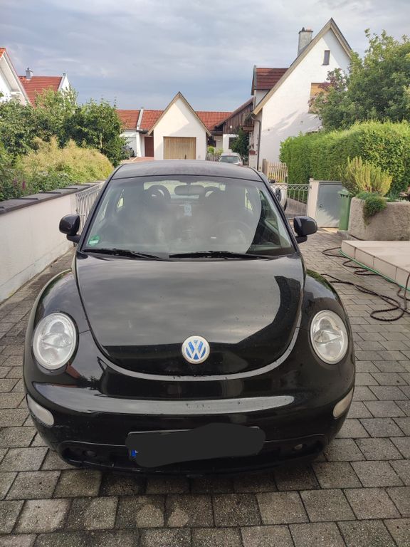 Beetle