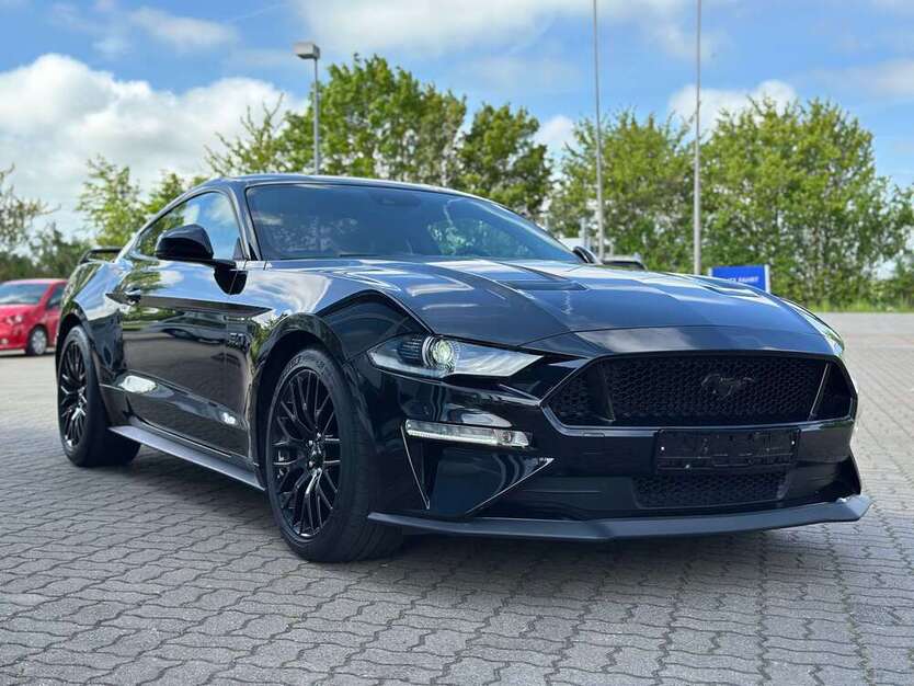 Mustang