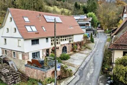 Haus zum Kaufen in Mosbach 699.000 € 380 m² 12 zimmer