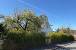 Einfamilienhaus Bad Pyrmont - 4 Zimmer, 134 m&sup2;, 359.000&euro; | Angebot:26583688