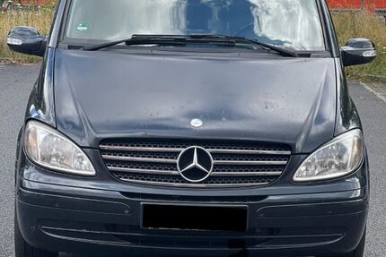 Mercedes Viano