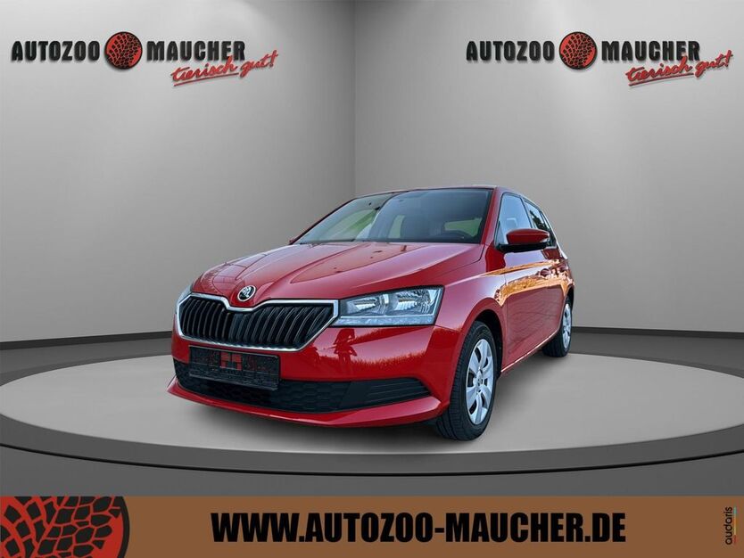 Skoda Fabia 61.171 km 10.900 € Wilhelmsdorf 88271