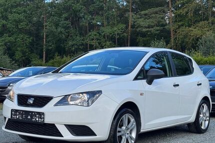Seat Ibiza 87.983 km 7.000 &euro; St. Gangloff 07629
