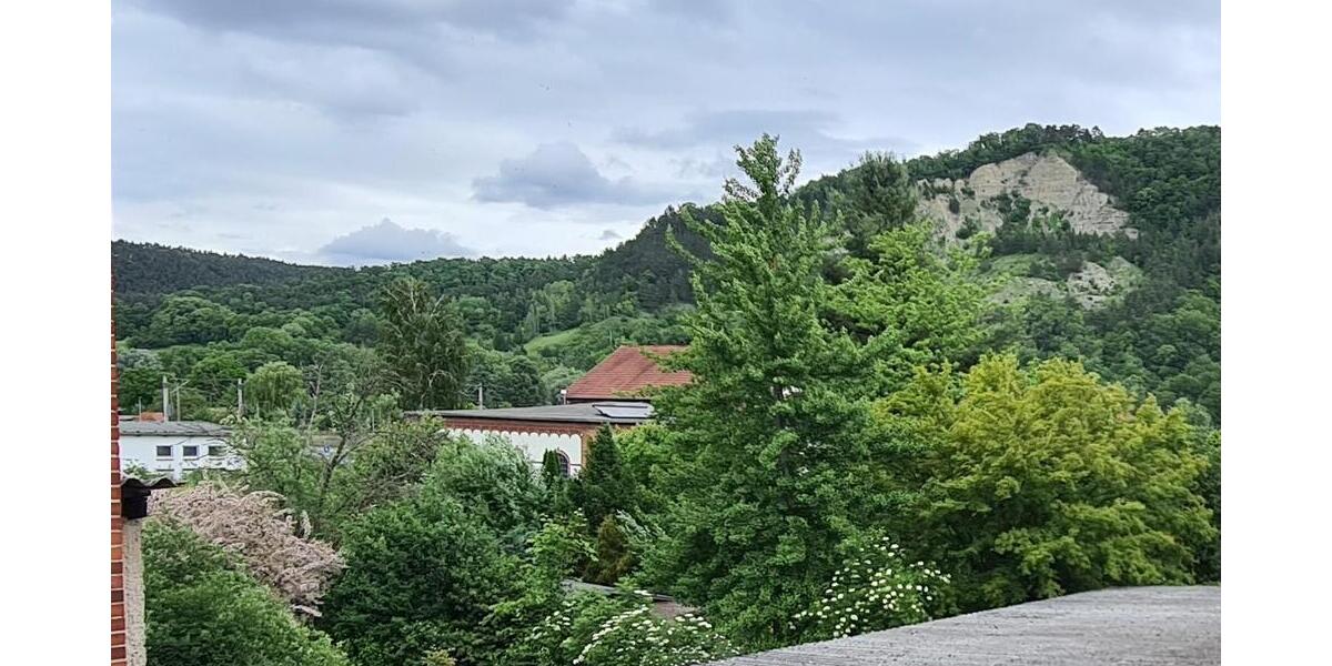 ruhig gelegenes Dreifamilienhaus mit Garagen , teilw. freiwerdend - Mehrfamilienhaus, Wohnhaus Kahla | Angebot:26095730