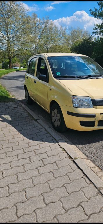 Panda