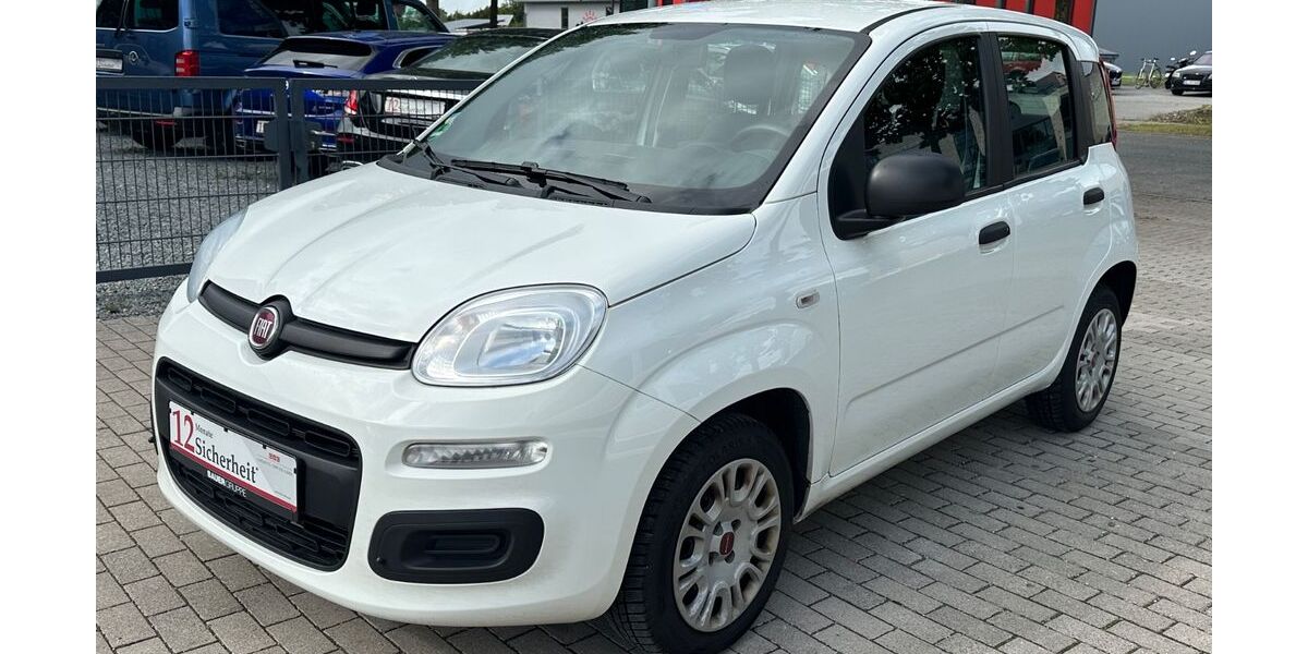 Fiat Panda 172.000 km 5.490 &euro; Schleswig 24837
