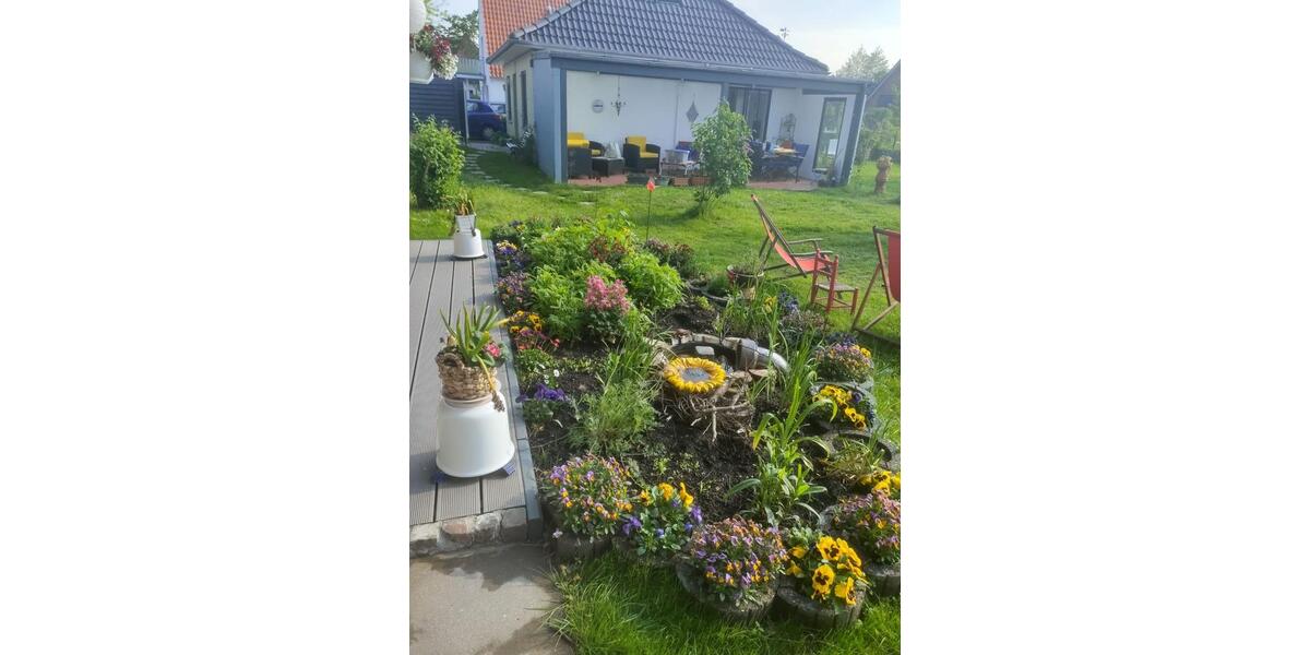 Bungalow Sankt Peter-Ording Ording - 2.5 Zimmer, 70 m&sup2;, 480.000&euro; | Angebot:25966307