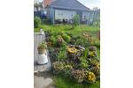 Bungalow Sankt Peter-Ording Ording - 2.5 Zimmer, 70 m&sup2;, 480.000&euro; | Angebot:25966307