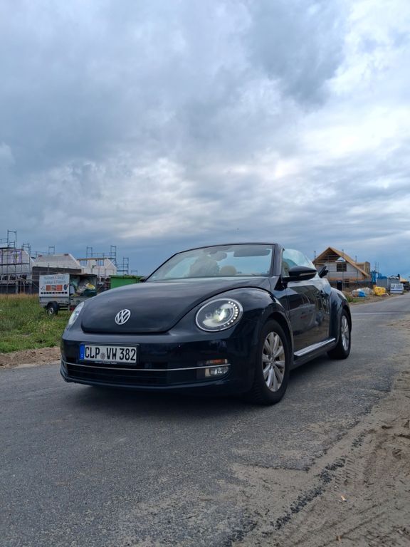 Beetle