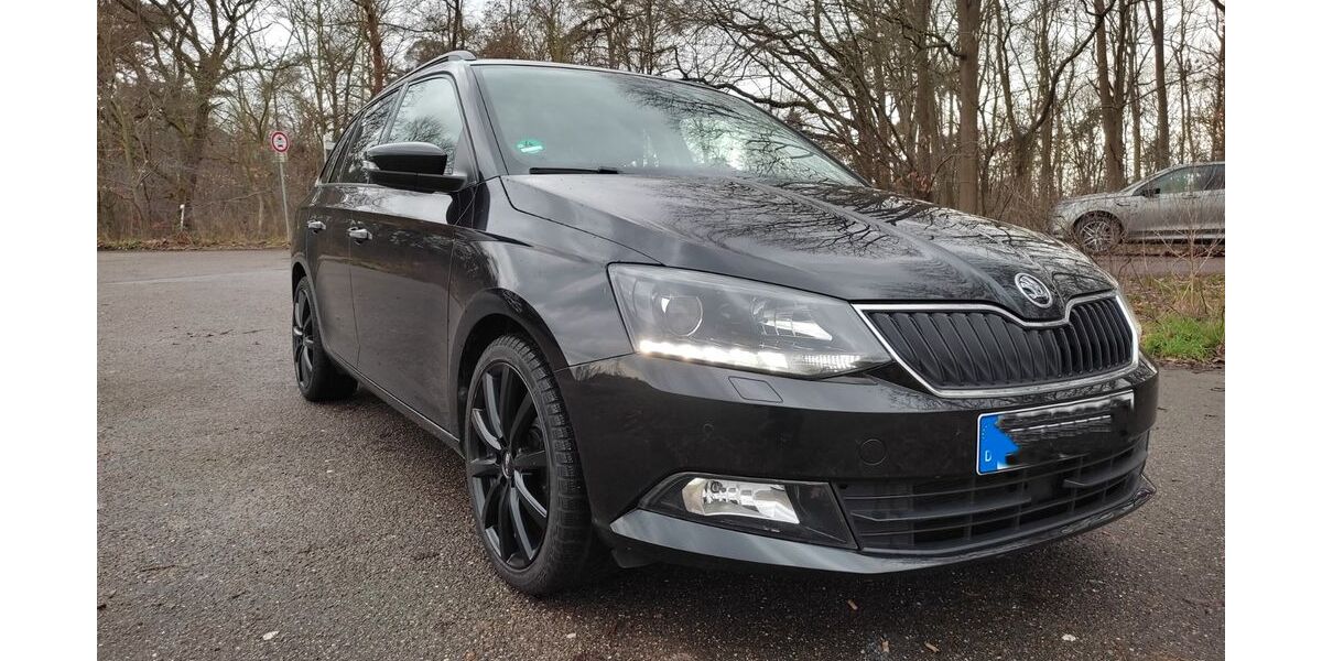 Skoda Fabia 88.800 km 9.999 &euro; Schifferstadt 67105