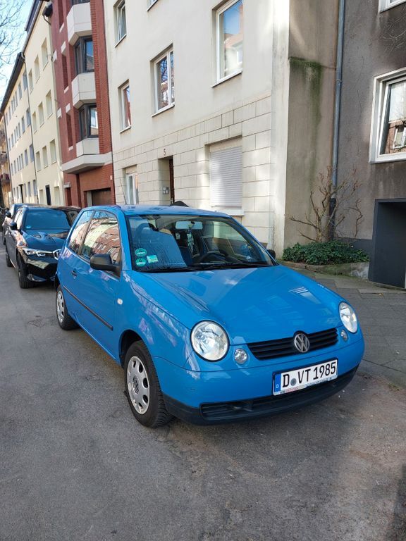 Lupo