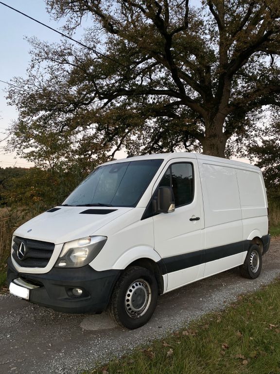 Sprinter