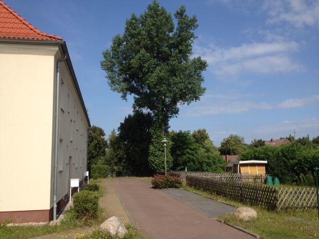 Erdgeschoßwohnung Lauta - 1 Zimmer, 36 m&sup2;, 250&euro; | Angebot:25367885